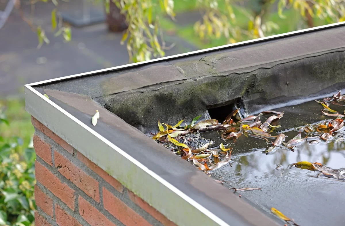 Roof Drains & Scuppers in Springfield, MO Roof Drains & Scuppers in Springfield, MO
